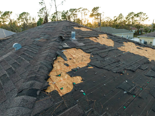 Best Roof Coating and Sealing  in Murraysville, NC