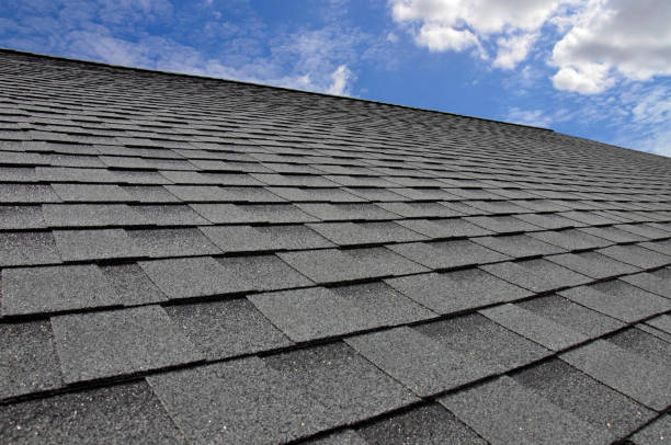 Best Solar Panel Roofing Installation  in Murraysville, NC