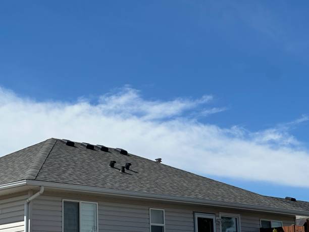 Best Storm Damage Roof Repair  in Murraysville, NC